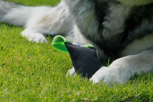 Hundespielzeug | Wurfspiel mit Griff | Apportier-Dummy | Größe M für mittelgroße Hunde | OEKO-TEX® STANDARD 100