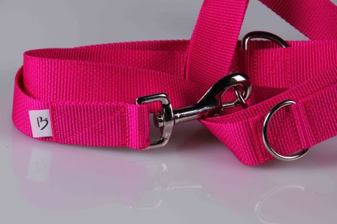 Leichte Hundeleine | Universal |3-fach Längenverstellbar | 220 cm lang | 30 mm breit | Pink