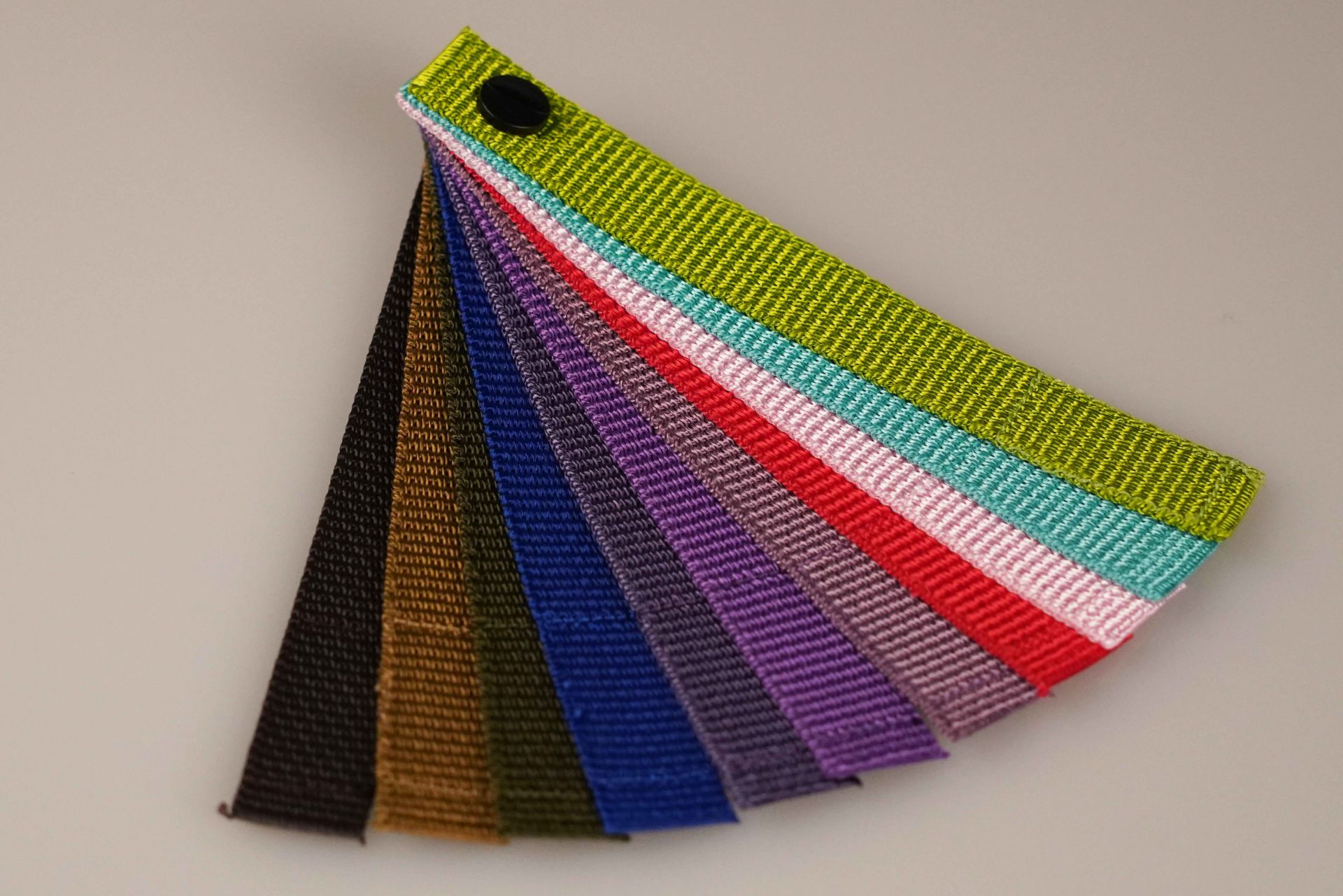 Musterfächer | Farbfächer Gurtband | Farben für Polyester | Hausfarben | Hochwertig | OEKO-TEX® STANDARD 100 Musterfächer | Farbfächer Gurtband | Farben für Polyester | Hausfarben | Hochwertig | OEKO-TEX® STANDARD 100