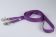 Zügelleine Cotton Soft | 20 mm Breite | Gummierte Pferdezügel ab 2,10 m Länge | Für Ponys bis Voll-und Warmblüter | Soft und Reißfest