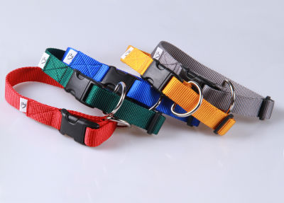 Hundehalsband aus Nylon | M | Soft und Glänzend | Farbwahl | 25 mm breit | Mit Zugentlastung | Umfang von 30 cm bis 45 cm Hundehalsband aus Nylon | M | Soft und Glänzend | Farbwahl | 25 mm breit | Mit Zugentlastung | Umfang von 30 cm bis 45 cm